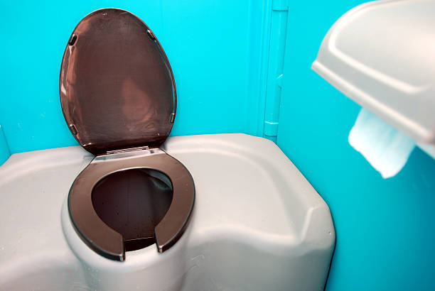 Best Affordable portable toilet rental  in Trowbridge Park, MI